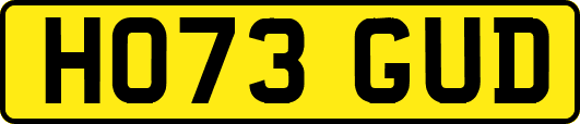 HO73GUD