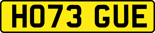 HO73GUE