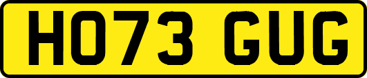 HO73GUG