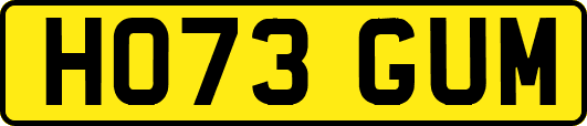 HO73GUM