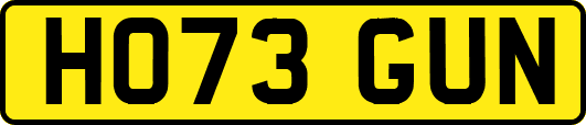 HO73GUN