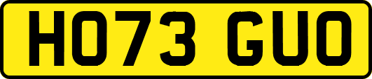 HO73GUO