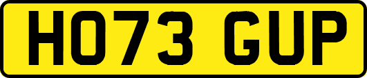HO73GUP