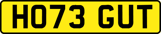 HO73GUT