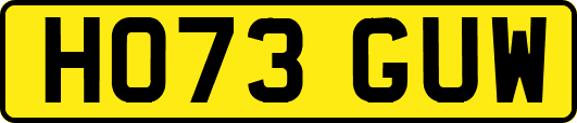 HO73GUW