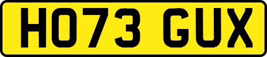 HO73GUX