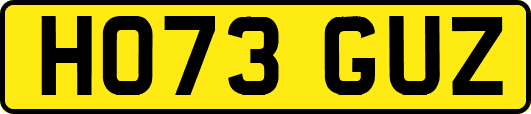 HO73GUZ