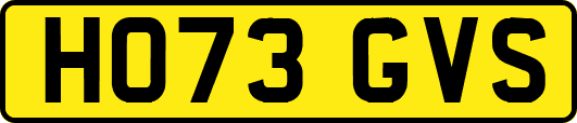 HO73GVS