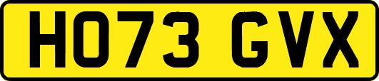 HO73GVX