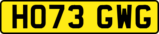 HO73GWG