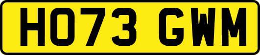 HO73GWM