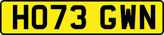 HO73GWN