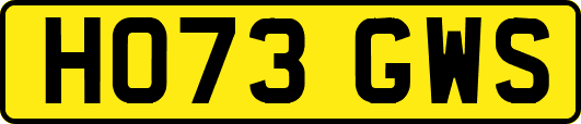 HO73GWS