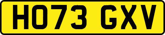HO73GXV