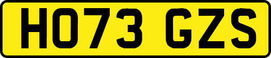 HO73GZS
