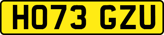 HO73GZU
