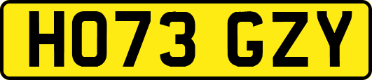 HO73GZY