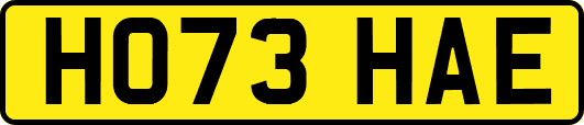 HO73HAE
