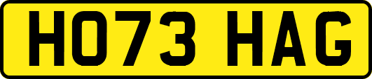 HO73HAG
