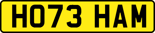 HO73HAM