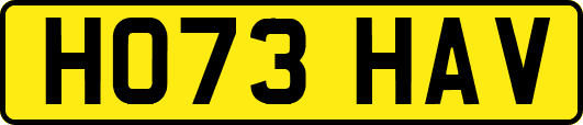 HO73HAV