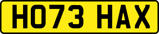 HO73HAX