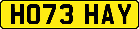HO73HAY