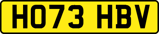 HO73HBV