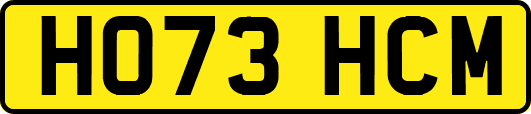 HO73HCM