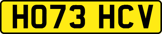 HO73HCV