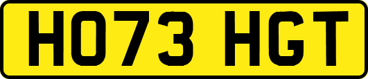 HO73HGT