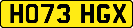 HO73HGX
