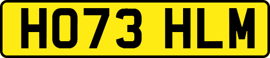 HO73HLM