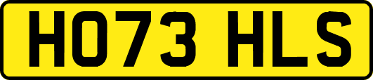 HO73HLS