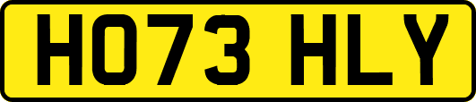 HO73HLY