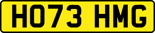 HO73HMG