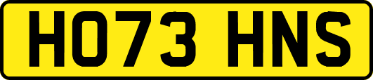 HO73HNS