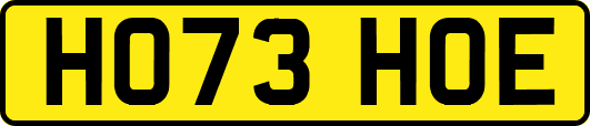 HO73HOE