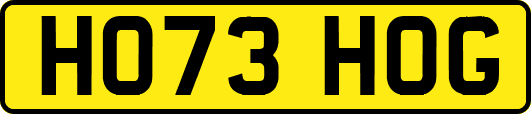 HO73HOG