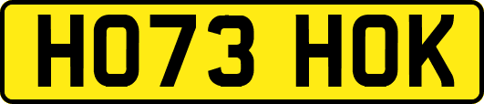 HO73HOK