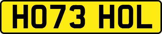 HO73HOL