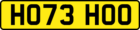 HO73HOO