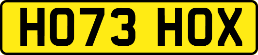 HO73HOX