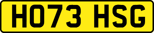 HO73HSG