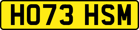 HO73HSM