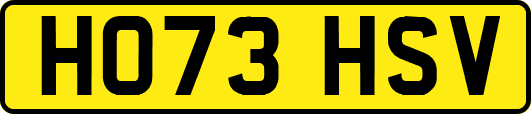 HO73HSV
