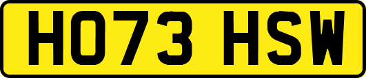 HO73HSW