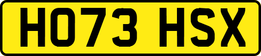 HO73HSX