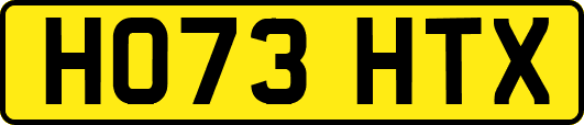 HO73HTX