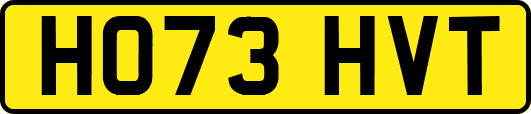 HO73HVT